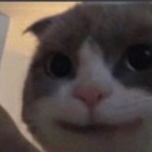 Meet your Posher, Savannah